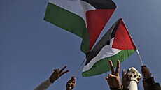 Palestinské vlajky - ilustraní snímky.