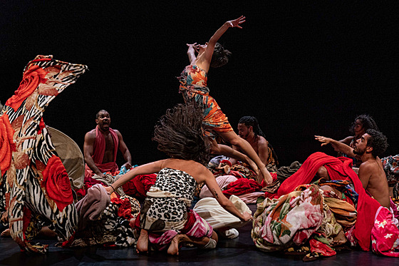 Z p�edstavení Encantado