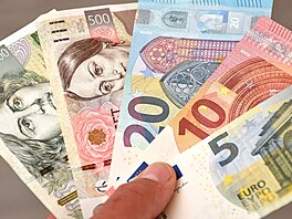 Euro a eská koruna.