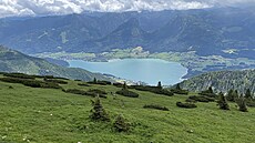 Kolem Wolfgangsee vede ada turistických tras rzné náronosti.