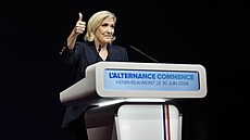 Marine Le Penová, éfka krajn pravicového Národního sdruení.