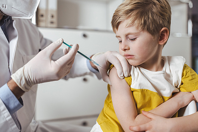 Velká prověrka vakcín: stát zhodnotí jejich bezpečnost a účinnost. Očkovacích látek bez doplatku přibyde