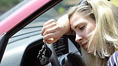 V horku je to dina. ízení bhem léta má svá specifika a je poteba na n...