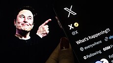 Elon Musk na tapet�. Jakmile Musk koupil Twitter (dnes X), bylo podle autora...