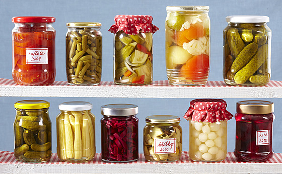 Ilustra�ní snímek