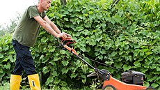 Líh v motoru m��e seka�kám u�kodit.