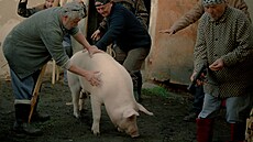 Jak to letos dopadne? Oprávnné obavy má nejen ezník Tonda (zcela vpravo)