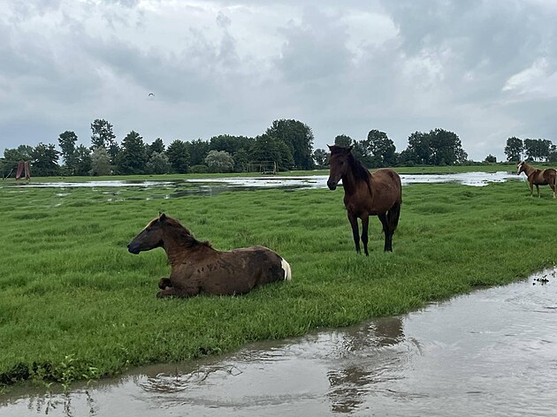 Martin Vyroubal vyrazil na cestu po Asii dvacet let star�m Audi Allroad. M���...