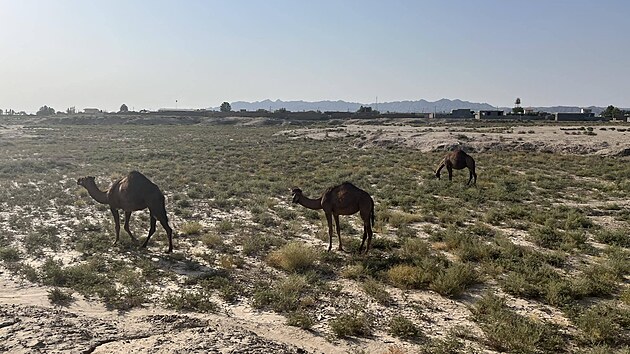 Martin Vyroubal vyrazil na cestu po Asii dvacet let star�m Audi Allroad. M��� p�es Turecko, �r�n a P�kist�n do Himal�j� a pak d�l do Afgh�nist�nu.