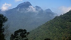 Horské pralesy Tam Dao ve Vietnamu.