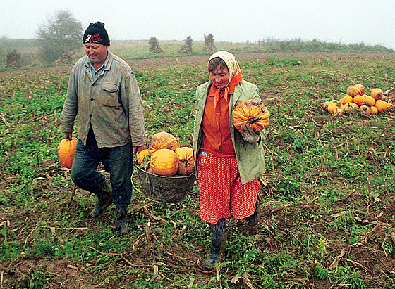 �eská komunita v Banátu.