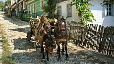 D�íví na zimu u� se veze, Gernik 2023.