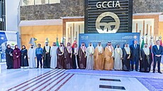�eská softwarová firma zvít�zila ve výb�rovém �ízení po�ádaném organizací Gulf...