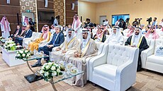 Provozovatel elektrické p�enosové sít� �esti stát� Perského zálivu si pro...