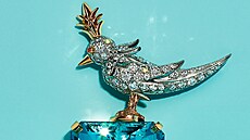 Bro� Jeana Schlumbergera.