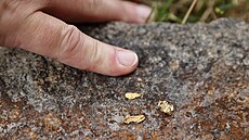 Hleda�i zlata rý�ují zlato v �ece Otav�.