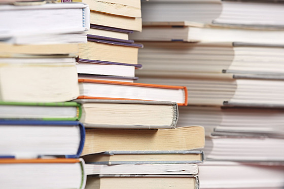 Autorovi se dostává do ruky spousta titul od dtských leporel po drsné...