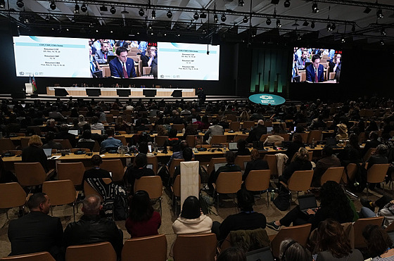 Klimatická konference v Baku. (24. listopadu 2024)