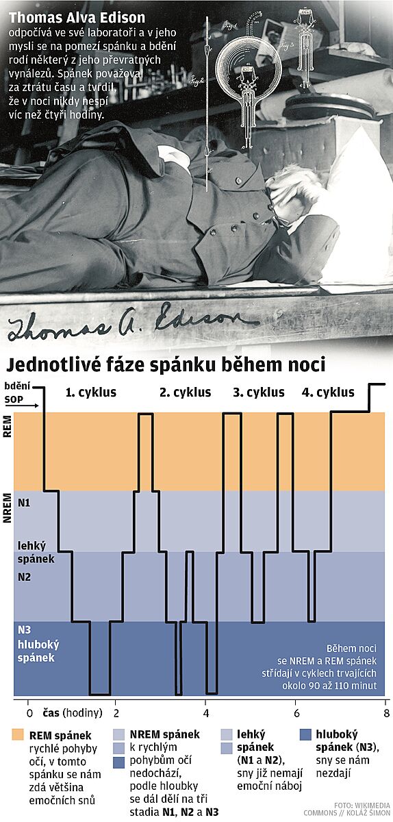 Grafika - spnek.