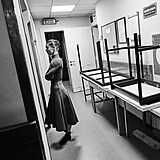 Tane�n� poh�dka Slune�n�k, M�s��n�k a V�trn�k.