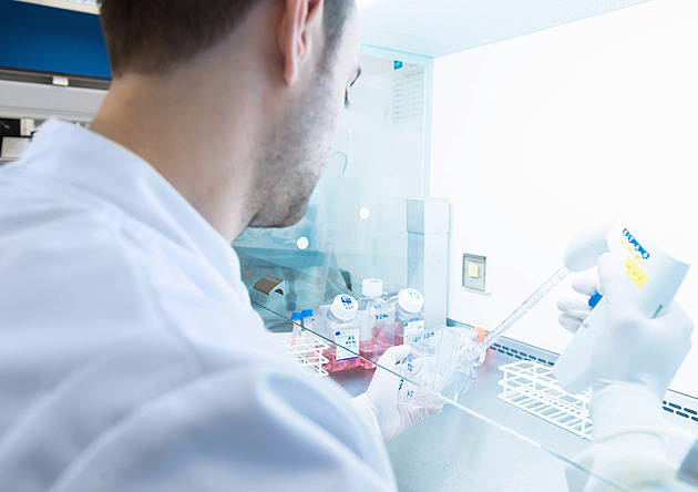 Nový nástroj v boji proti rakovině. Geneticky upravené viry zničí rakovinné buňky