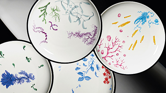 Talí�e z jednotlivých kolekcí je mo�né zakoupit jednotliv� i v setech. Sada...