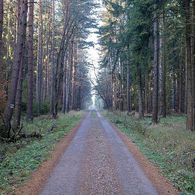 Kublov (K�ivokl�tsko)