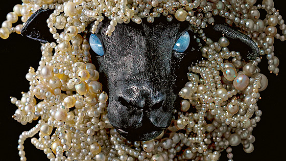 Na pa�í�ské výstav� je k vid�ní více ne� sto �perk� ozdobených perlami