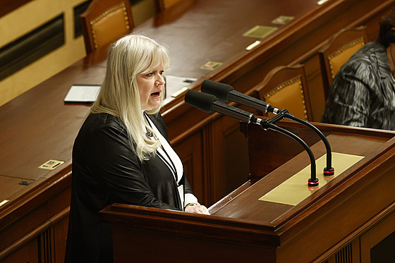 Lidovecká poslankyn� Romana B�lohlávková.