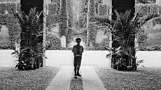 Verona: Cyp�i�ový vchod do zahrady Giusti, snímek z roku 1911.