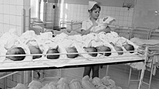 Porodnice v pra�ské Kr�i 1976. V sedmdesátých letech se realizovala...