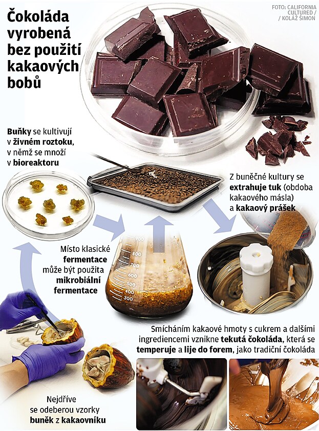okolda bez kakaovch bob.