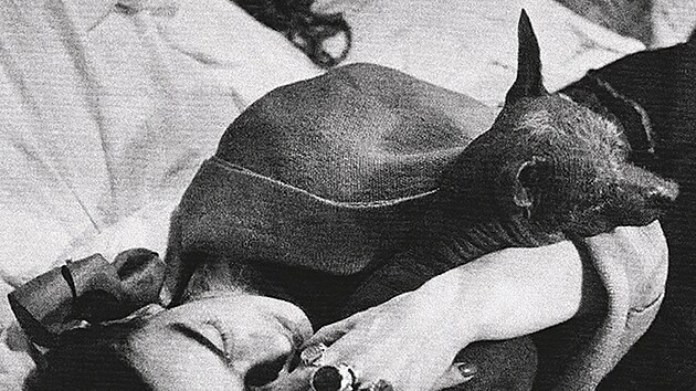 Frida Kahlo a�jej� pes Mr. Xolotle
