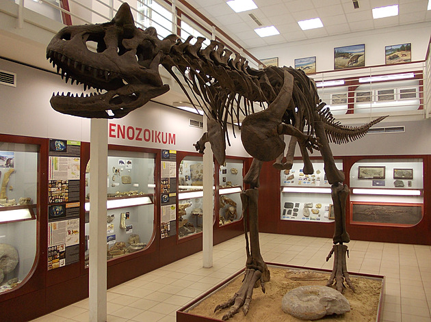 Dinosaurus a mladí. Proč děti milují veleještěry, kteří po 134 milionů let vládli světu?
