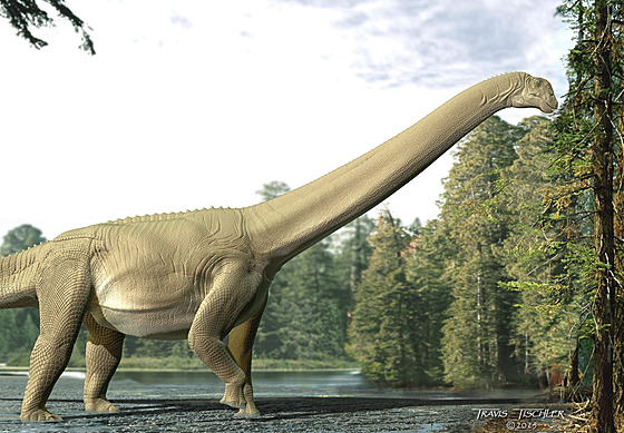 Sauropodí druh Diamantinasaurus matildae.