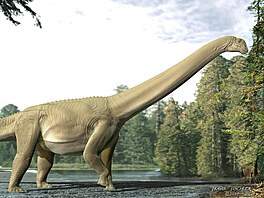 Sauropodí druh Diamantinasaurus matildae.