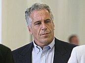 Jeffrey Epstein na snímku z roku 2008.