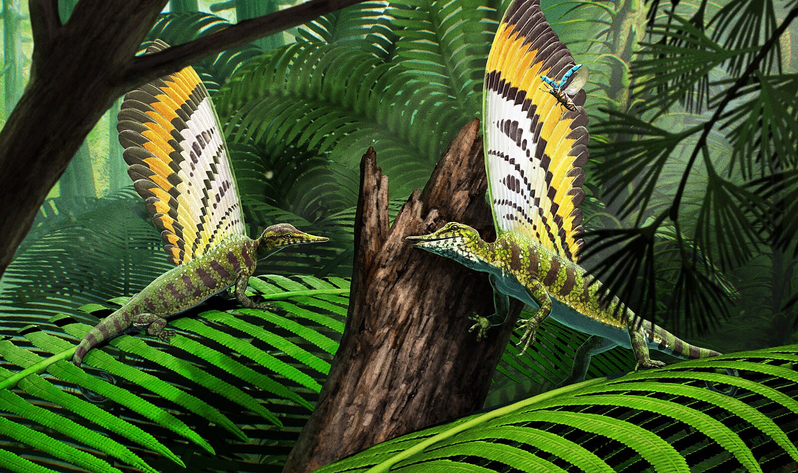 Potvora měla peří 86 milionů let před dinosaury. Nebo něco hodně podobného