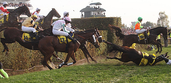 Koním tradin nejvíce zavail Taxisv píkop.