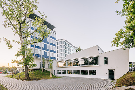 Panelárna v Holeovicích.