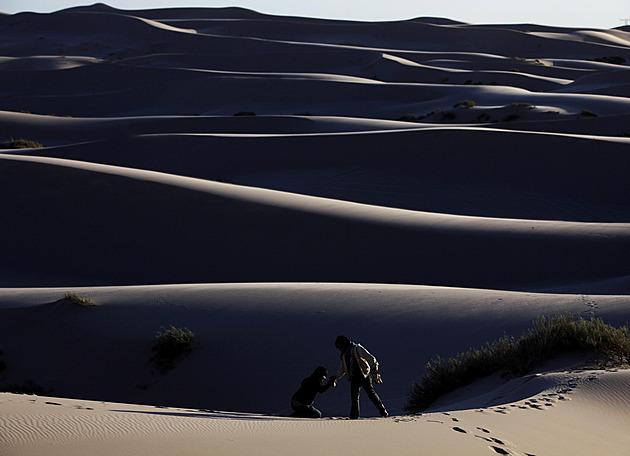 Zanícený odonatolog napsal knihu o nevinnostech světa. Otestoval i neznámé plody kaktusů