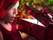 Vánoce, dárky - ilustraní foto.