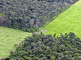 Jak Amazonie ustupuje sóji...