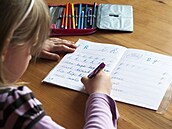 �kola (ilustra�ní foto).