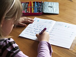 �kola (ilustra�ní foto).