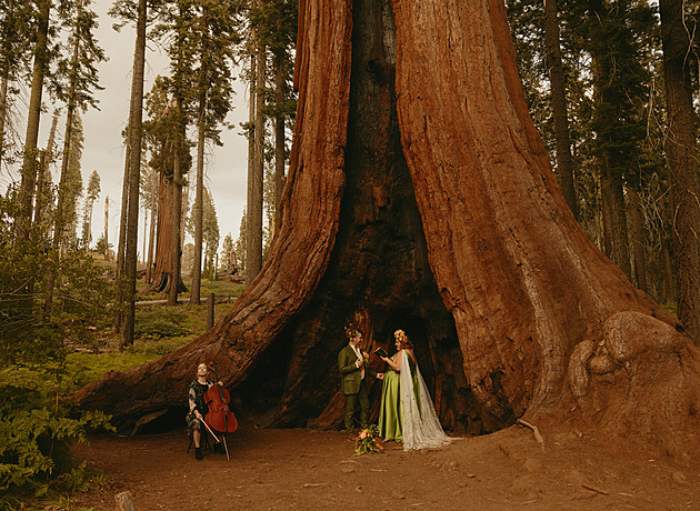 OBRAZEM: Slzy dojetí povoleny. Fotografové soutěžili o nejlepší svatební snímek