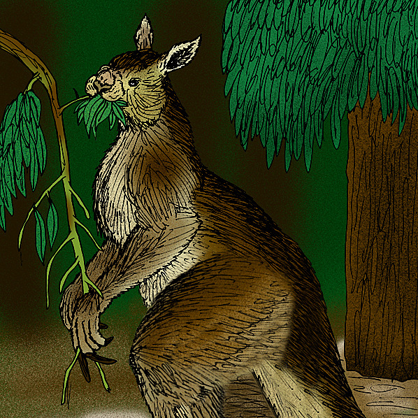 Obří praklokan vážil 250 kilo. Mohl skákat stejně jako jeho dnešní příbuzní