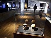 Muzeum p�ipomínající jeskyni lovc� mamut�  se nachází v Pavlov� na B�eclavsku....