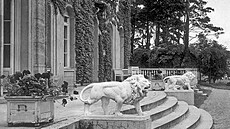 Vila ve Wannsee na historickém snímku.