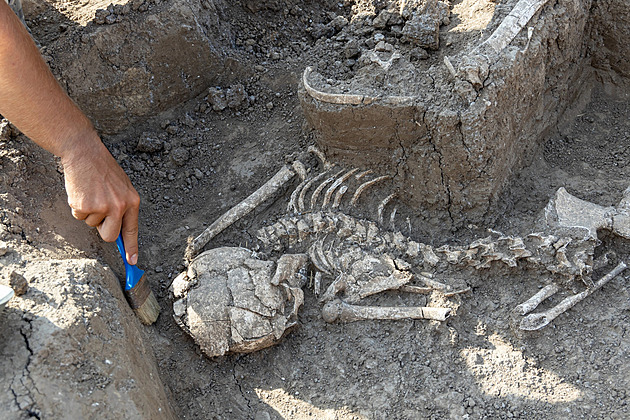 Krvavé rituály, usekané hlavy. Naši předkové nebyli beránci, nálezy dokazují bezdůvodné vraždění